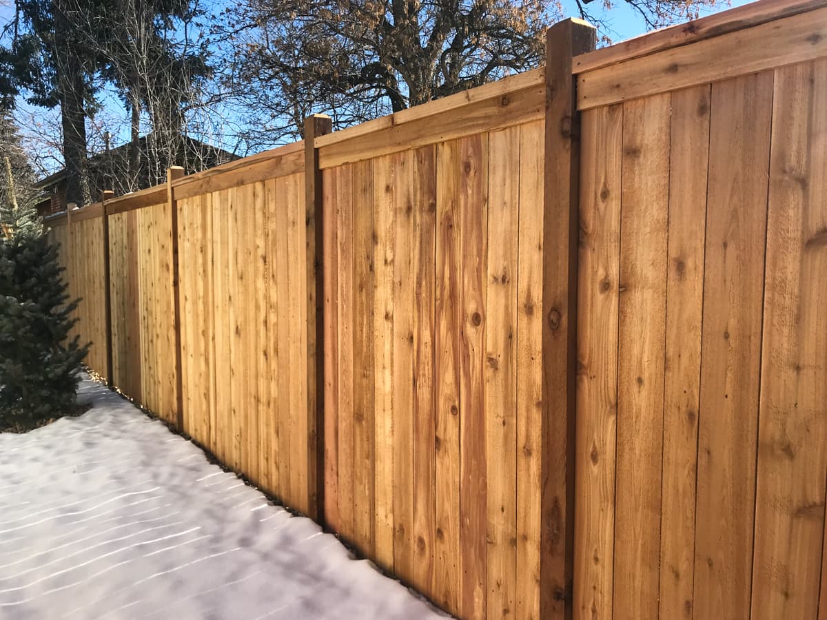 Deck Staining Services in Princeton, TX